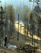 The Qwest work crew arrives at a still smoldering area near Deckers, Colorado (used by permission of photographer, Michael Gamer, Denver, Colorado)